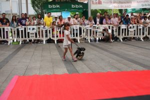 2014 Concurso de perros